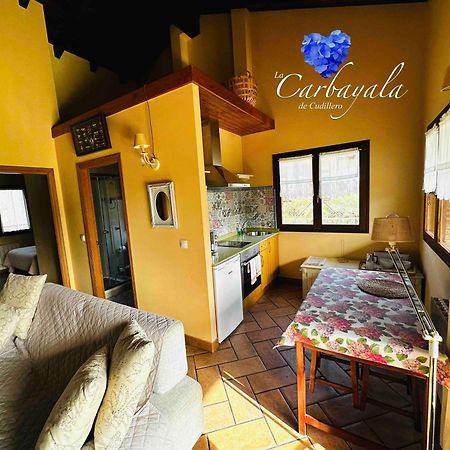 Apartamentos Rurales La Carbayala Ovinana  ภายนอก รูปภาพ
