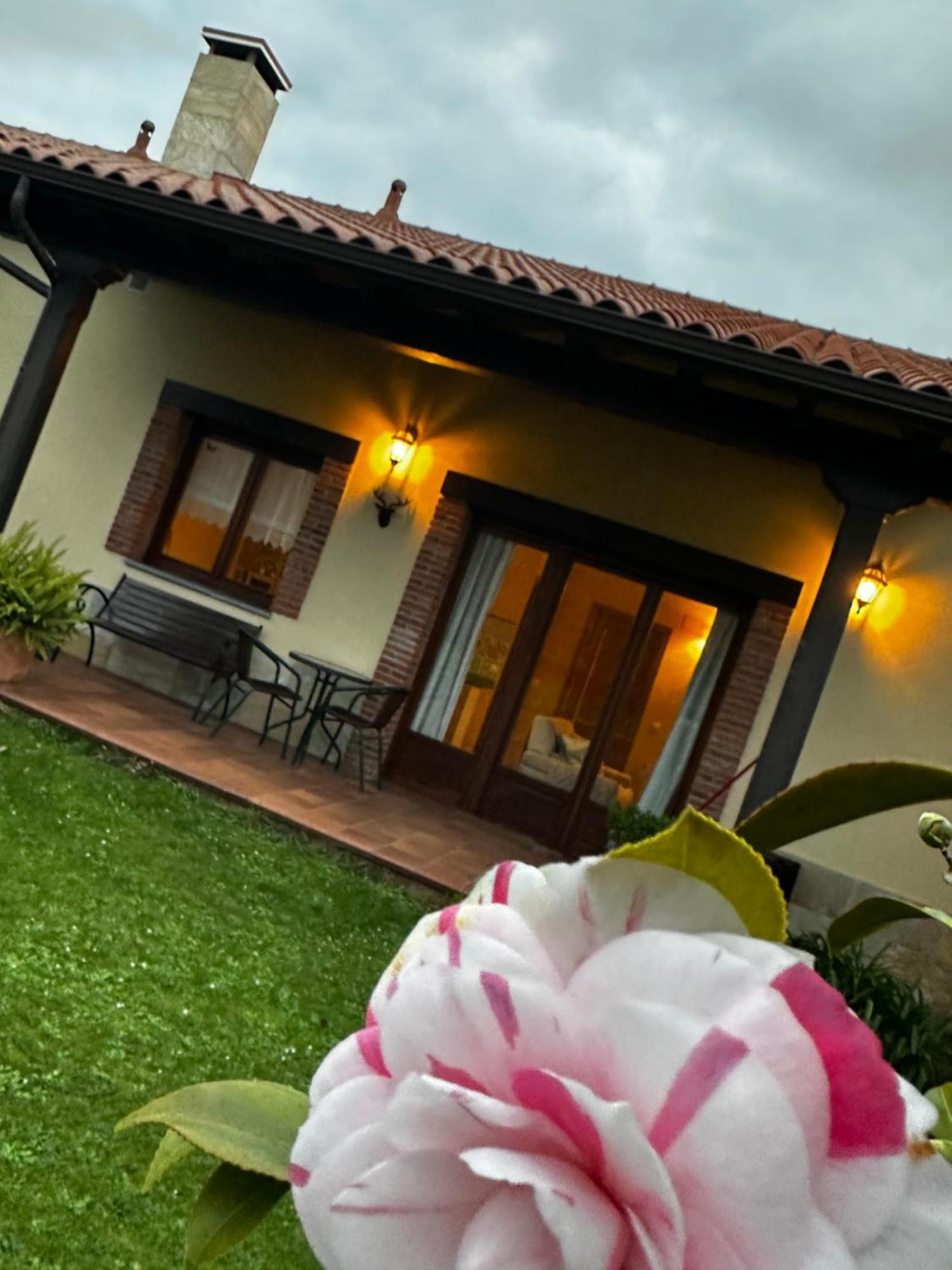 Apartamentos Rurales La Carbayala Ovinana  ภายนอก รูปภาพ