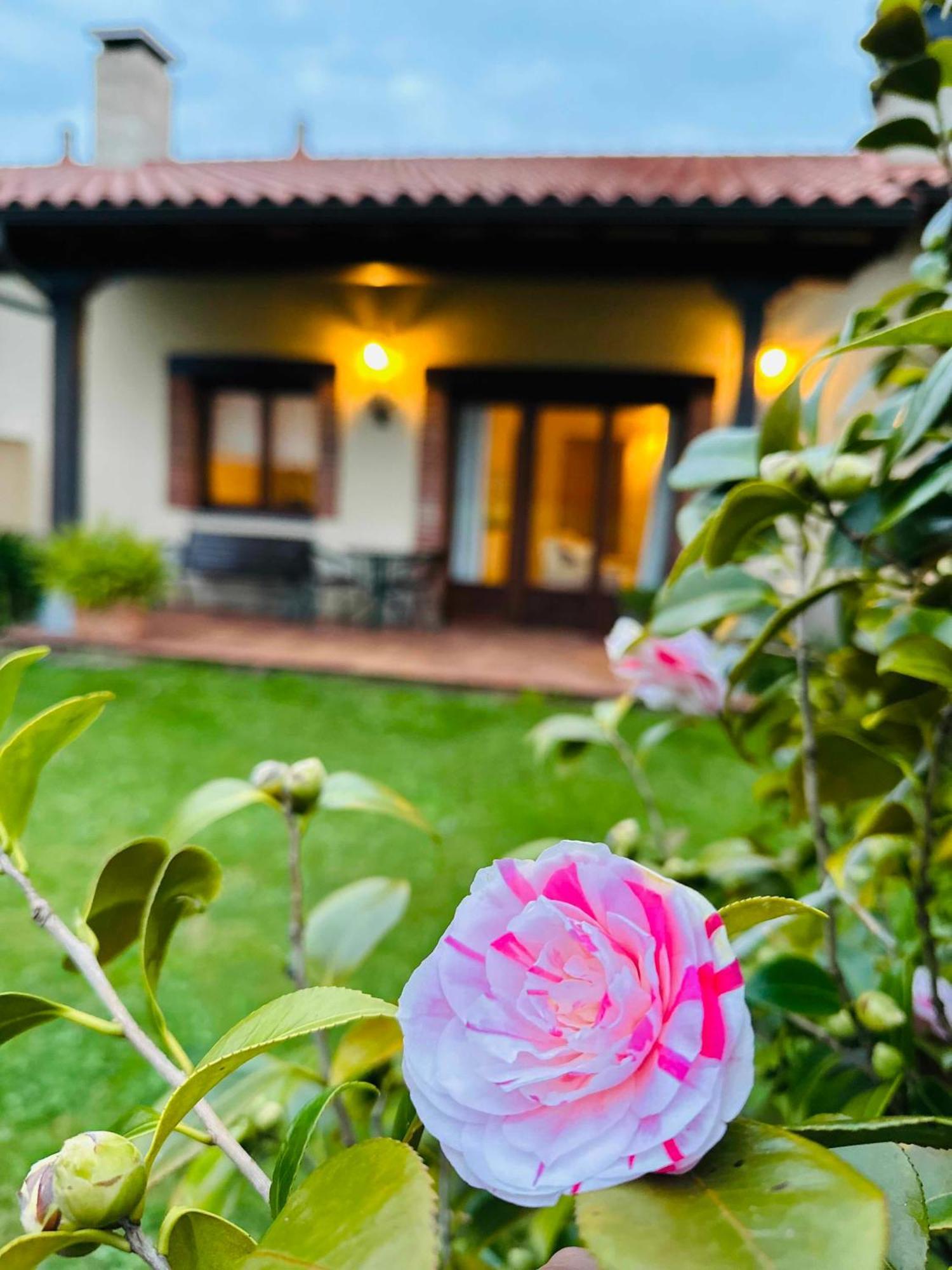 Apartamentos Rurales La Carbayala Ovinana  ภายนอก รูปภาพ